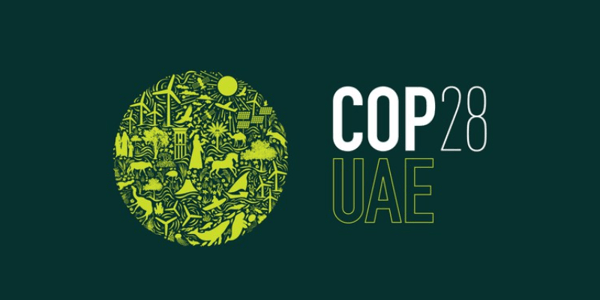 Navigating the future: Highlights from COP 28 in Dubai