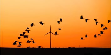 Wind energy recruitment agency in Australia