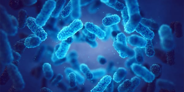 Safety Moment - Protecting Against Bloodborne Pathogens