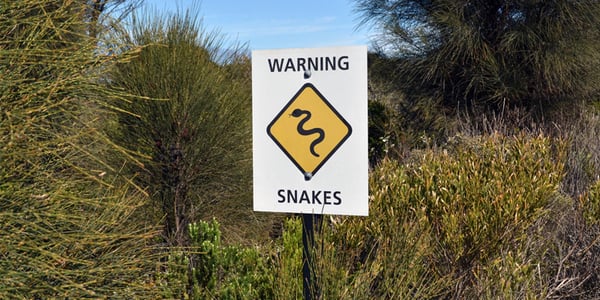 Safety Moment - Wildlife Safety