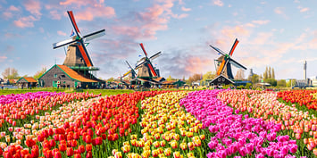 NETHERLANDS-featured-img